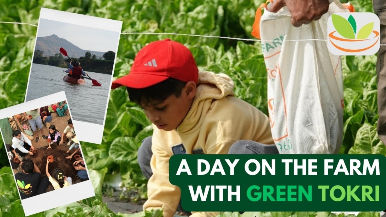 Greentokri Farm Tour