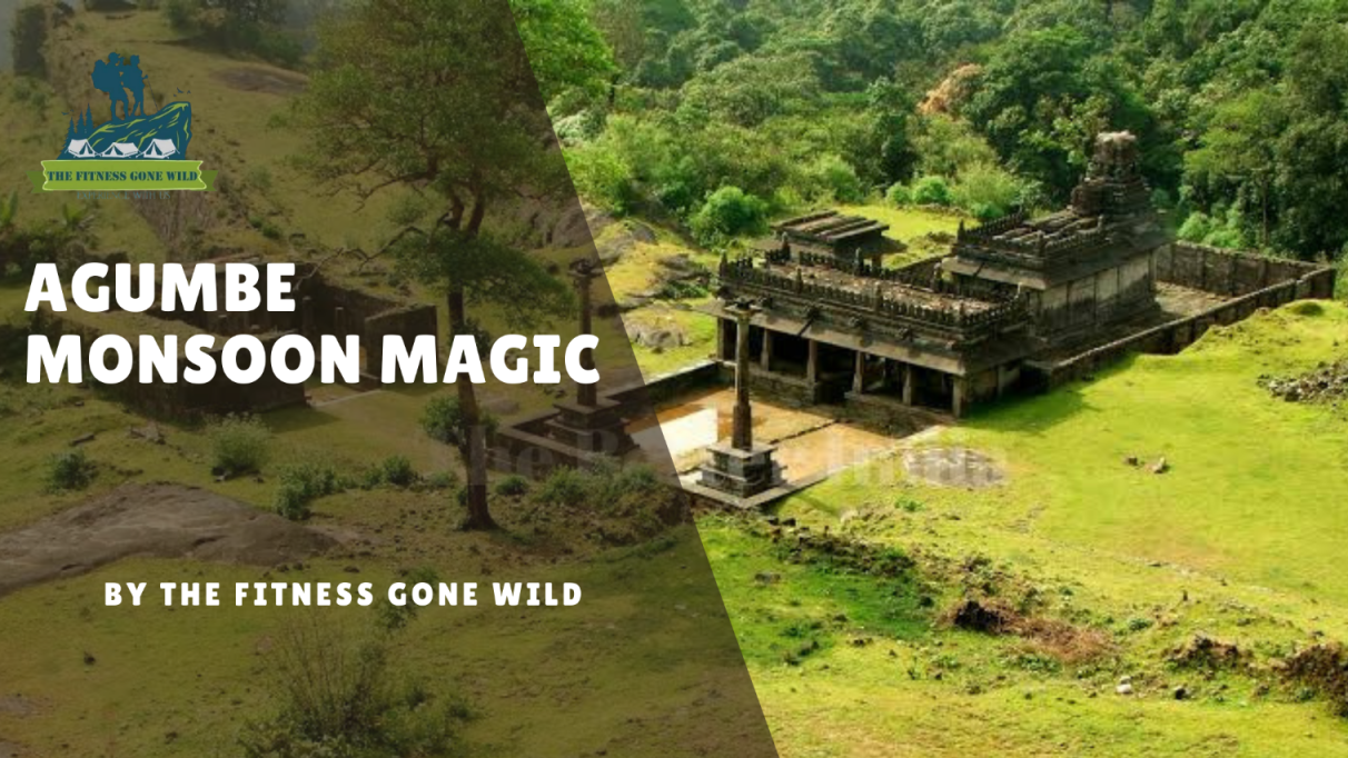 Agumbe Magical Monsoon
