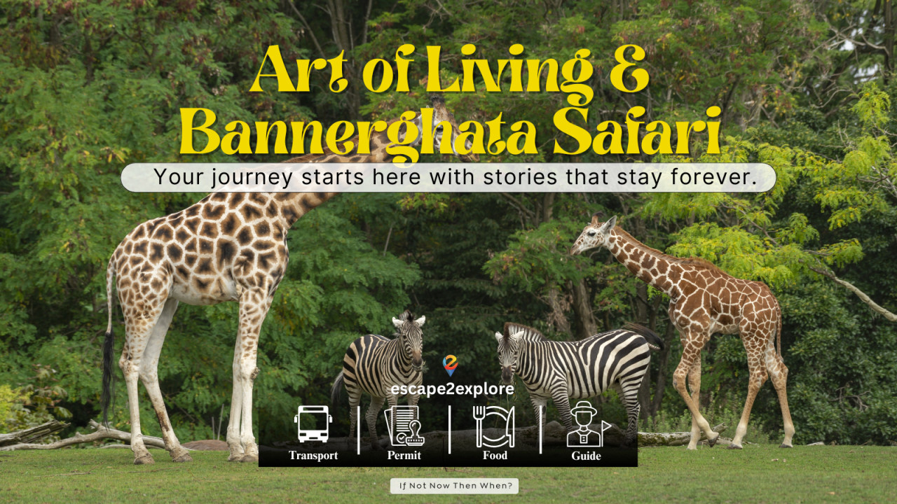 Art of Living & Bannerghatta Safari One Day Trip