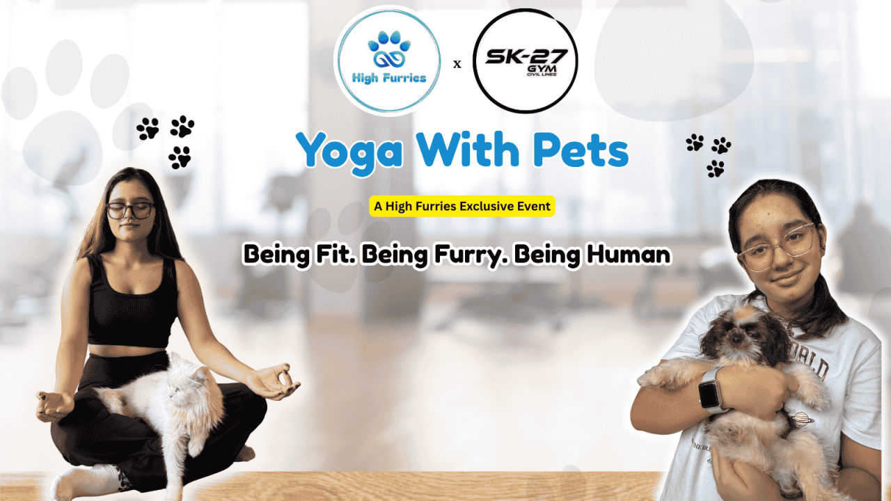 Yoga with Pets by High Furries
