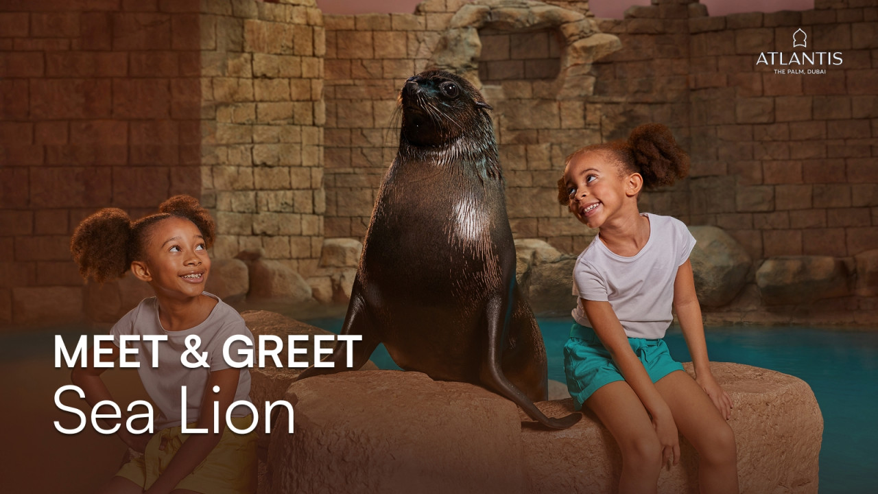 Atlantis Sea Lion Meet & Greet