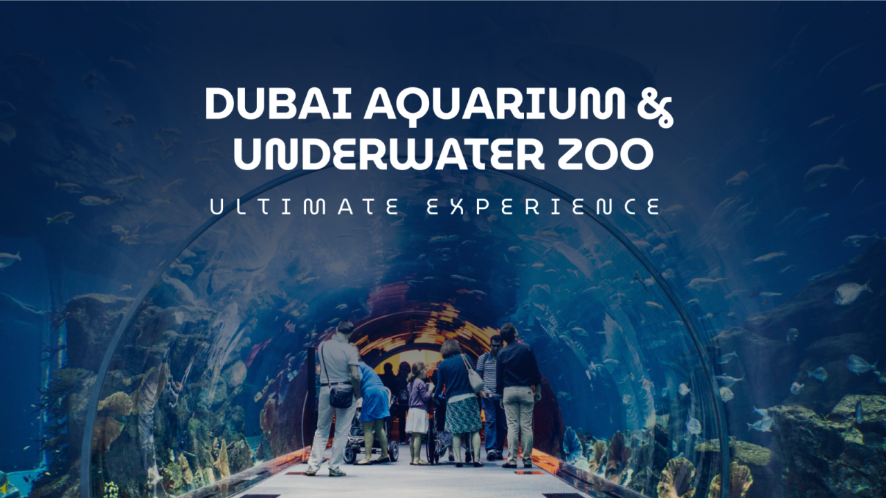 Dubai Aquarium and Underwater Zoo - Ultimate Experience