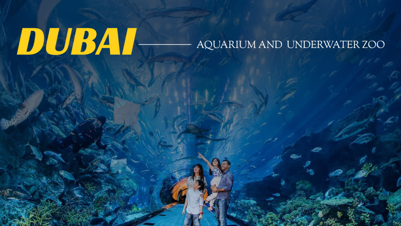 Dubai Aquarium & Underwater Zoo - Regular Pass