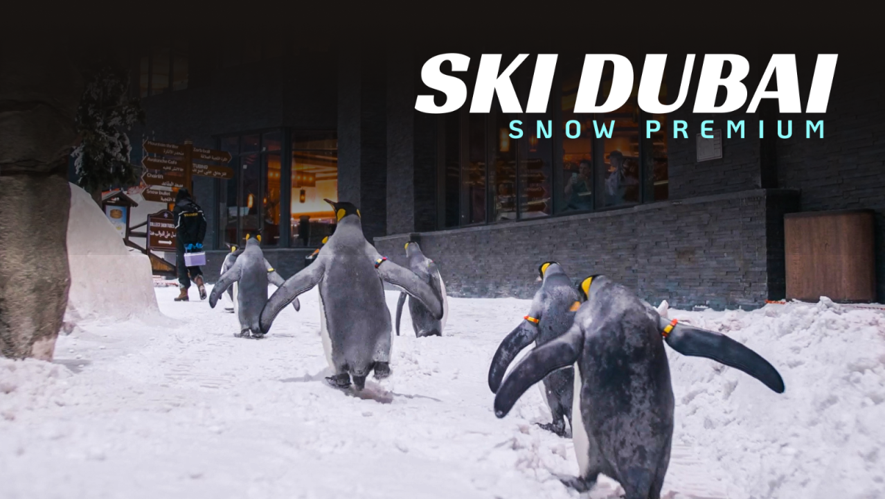 Ski Dubai - Snow Premium