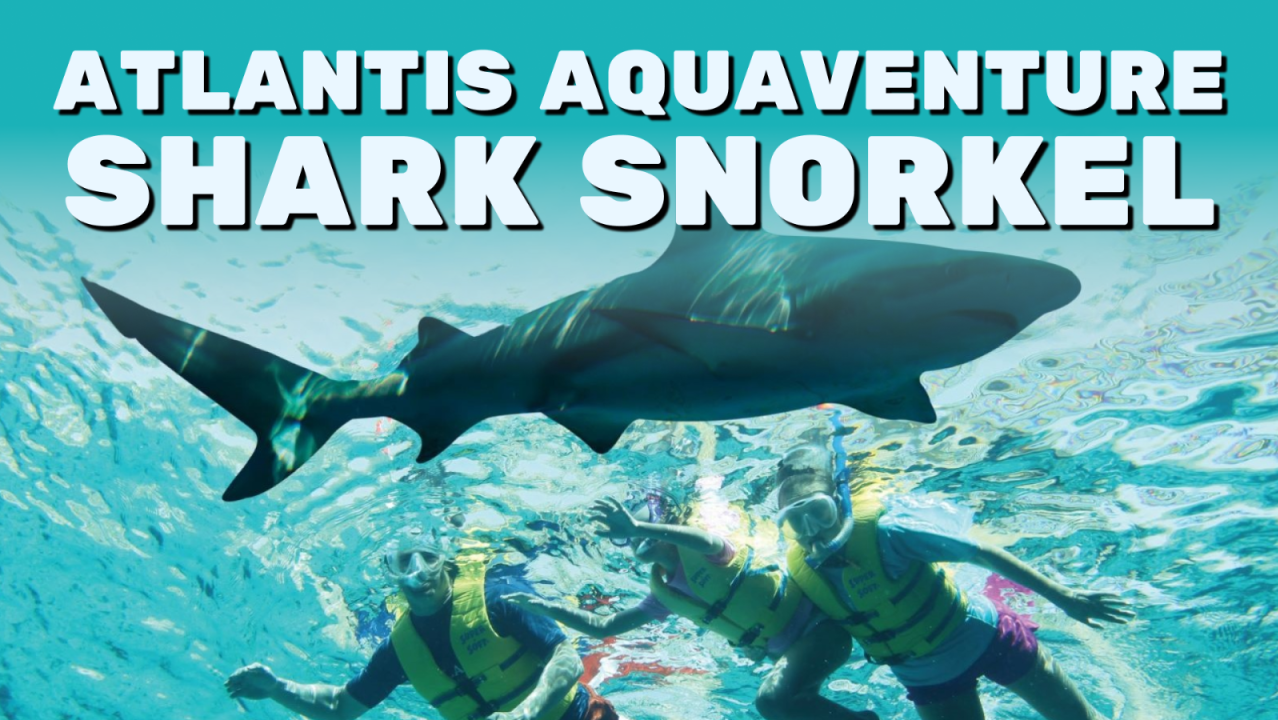 Atlantis Aquaventure Shark Snorkel