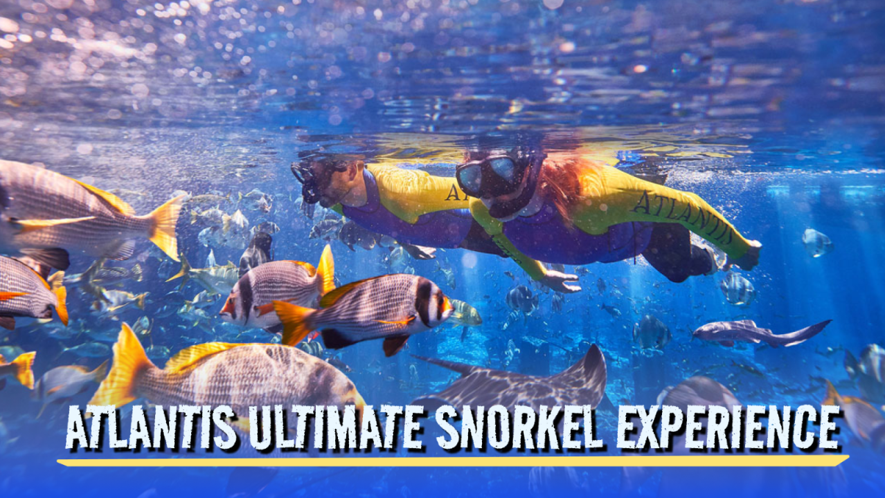 Atlantis Ultimate Snorkel Experience