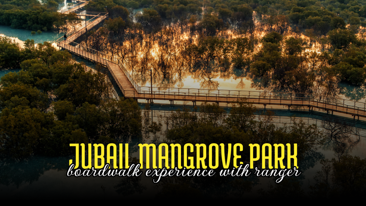 Jubail Mangrove Park - Boardwalk Experience with Ranger