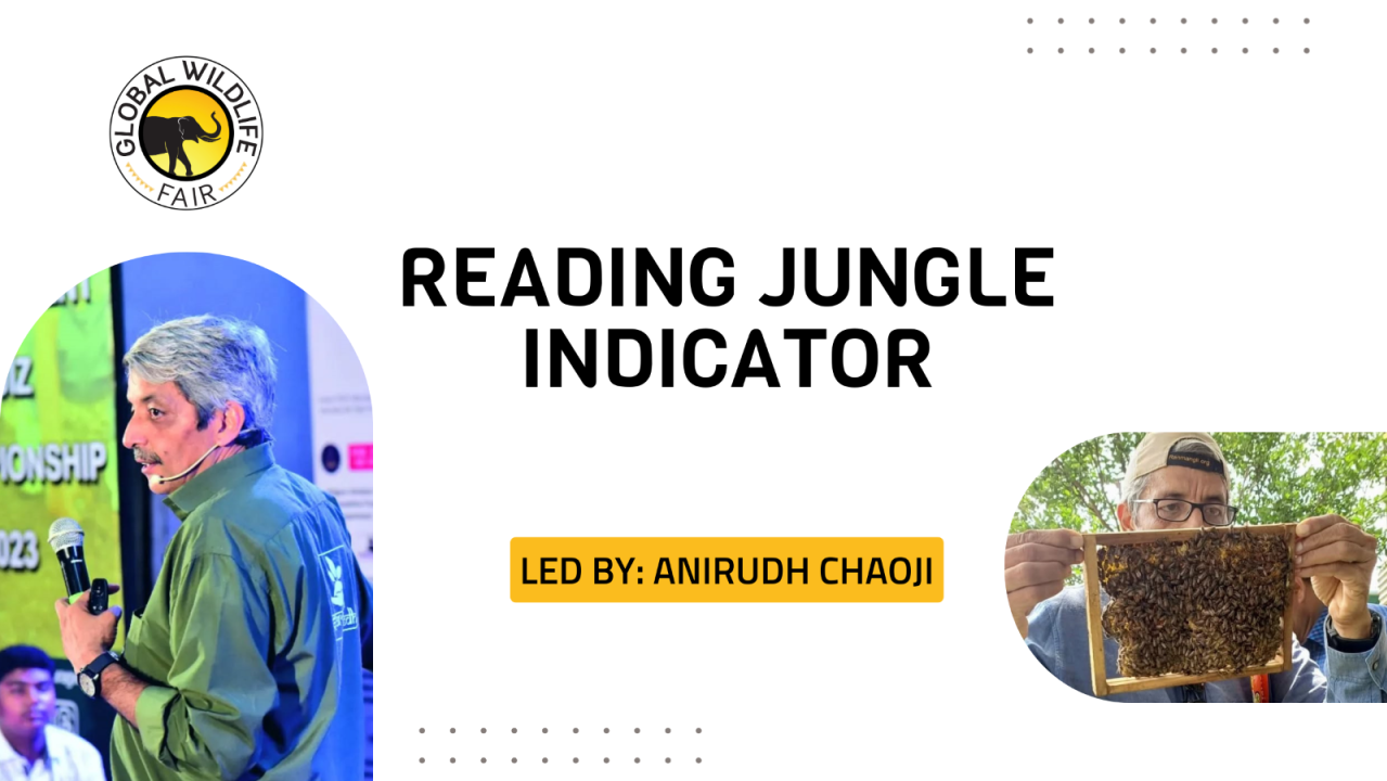 Reading Jungle Indicator - Anirudh Chaoji