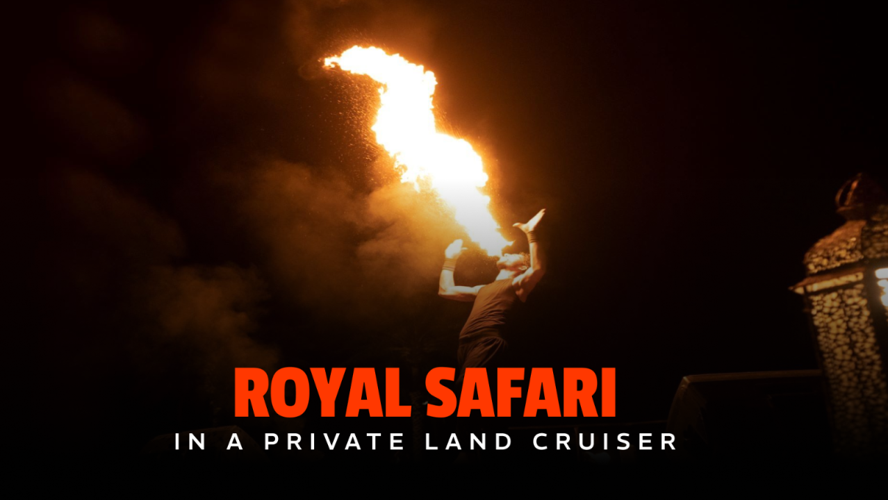 Royal Desert Safari by Land Cruiser