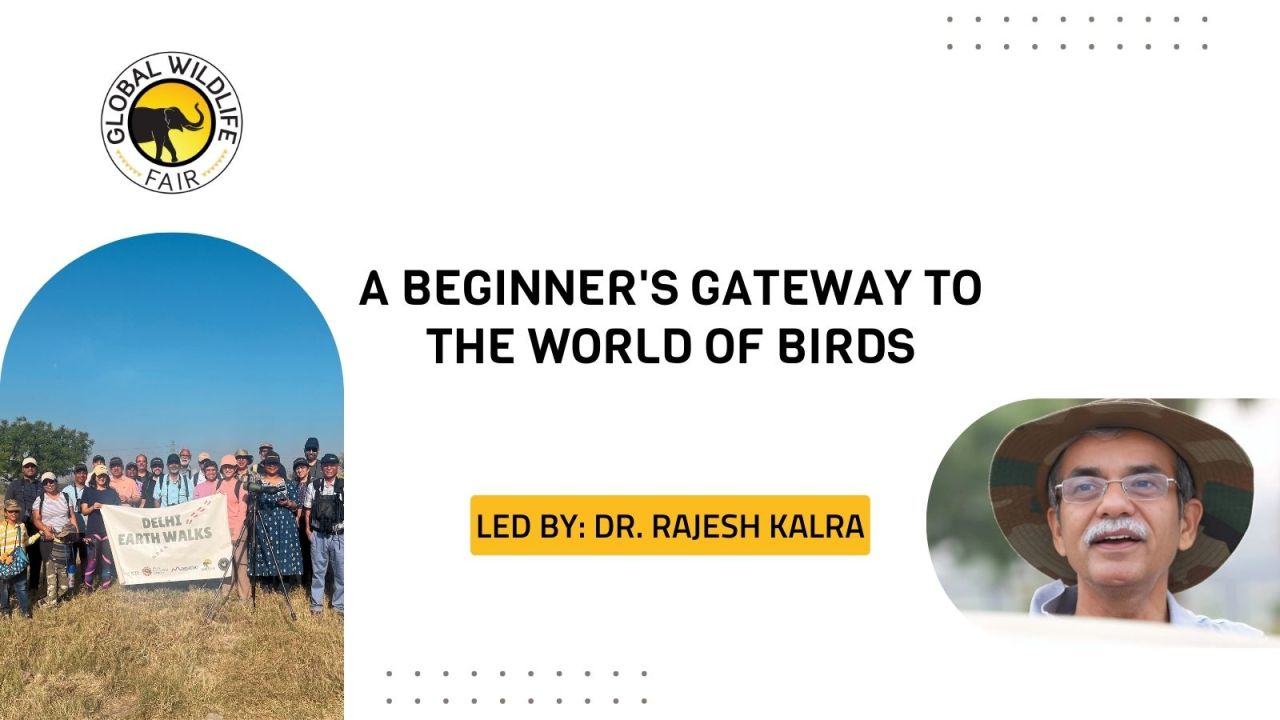 Birding Basics | Dr. Rajesh Kalra