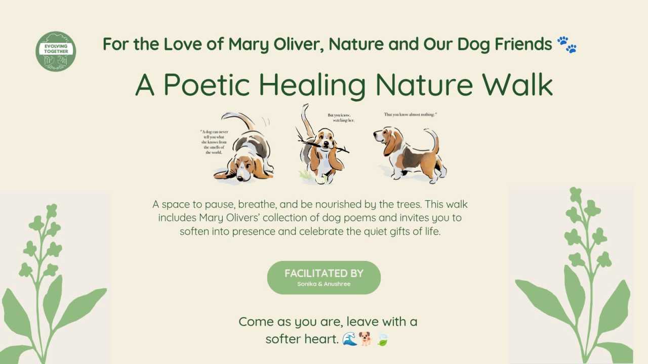 A Poetic Healing Nature Walk with Mary Oliver's Dog Songs