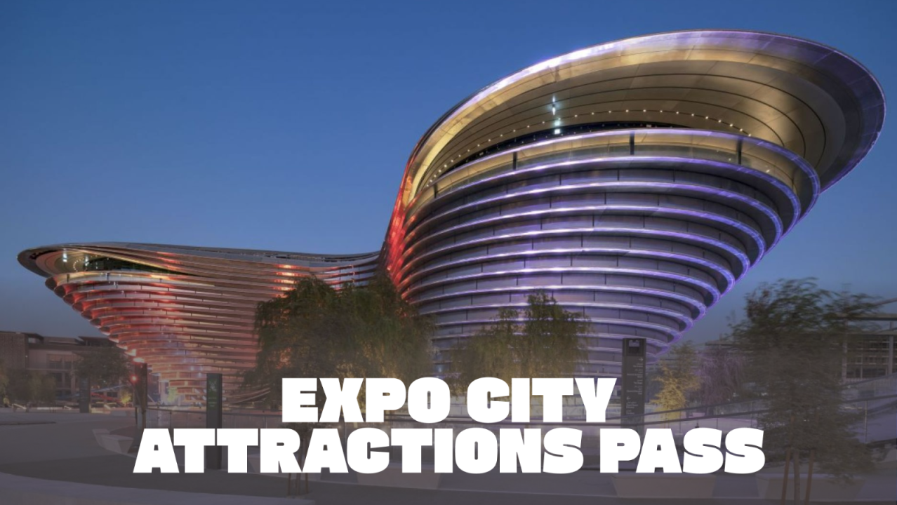 Expo City Attractions Pass (Kids Go Free Summer Offer)