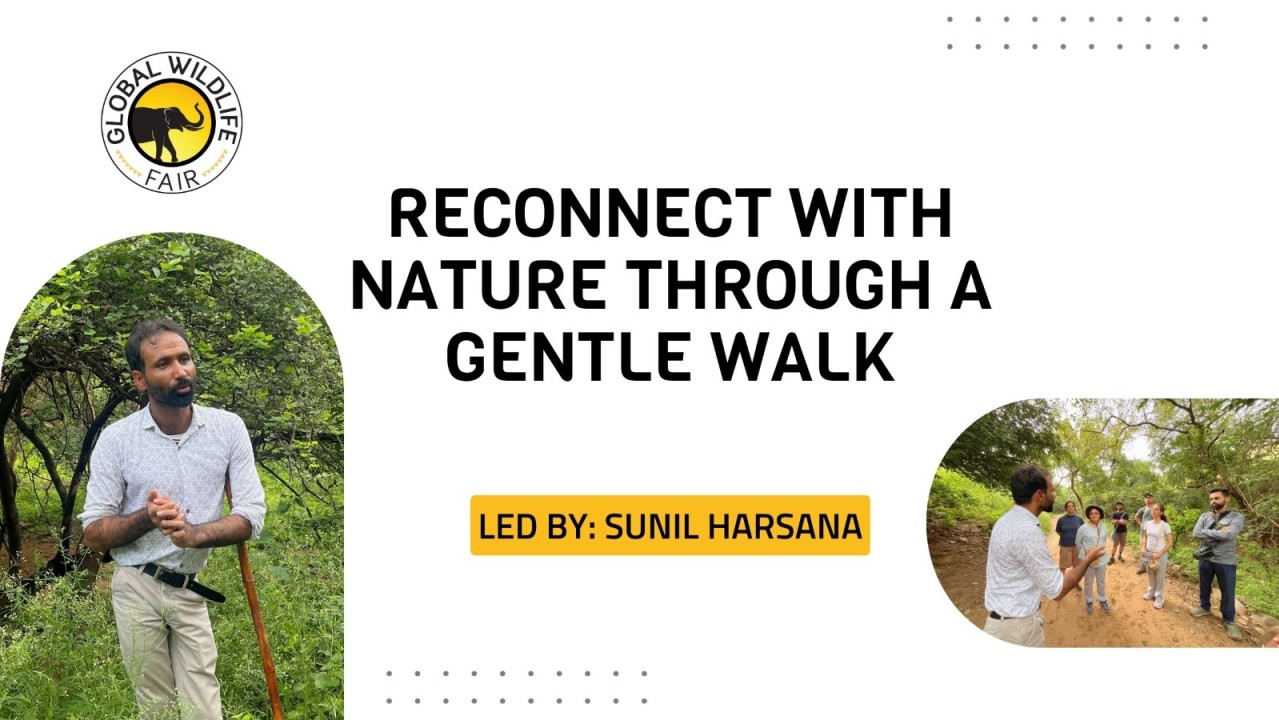 Nature Through a Gentle Walk