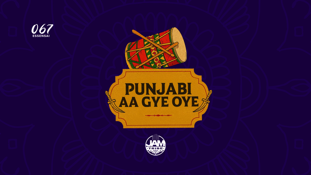 Punjabi Aa Gye Oye