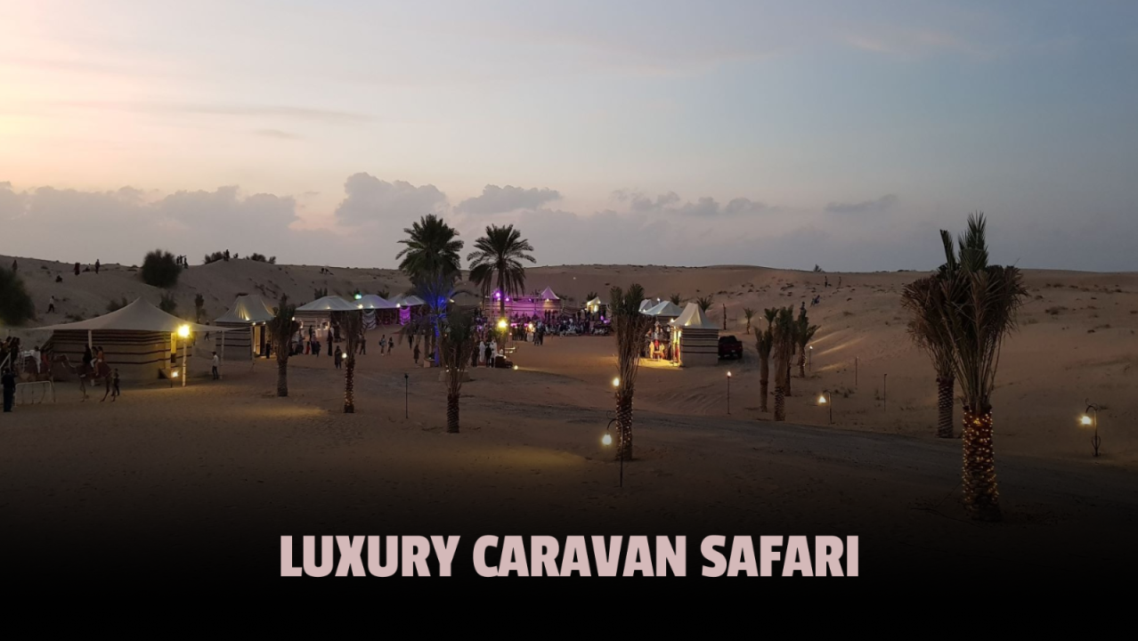 Luxury Caravan Safari and Dinner by Land Cruiser Standard Private