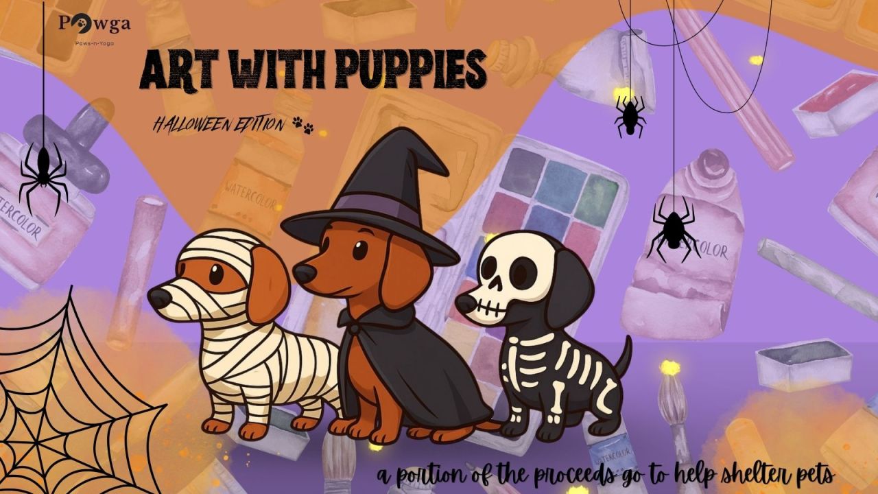 Pawga's Halloween Special Art with Puppies in Mumbai