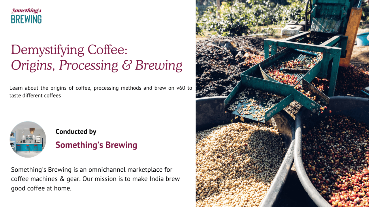Demystifying Coffee: Origins, Processing & Brewing
