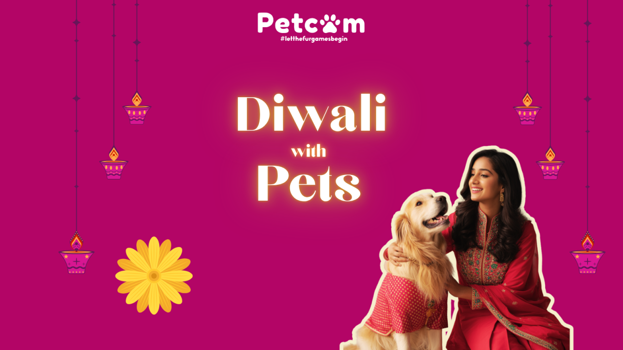 Diwali With Pets by Petcom| Bengaluru