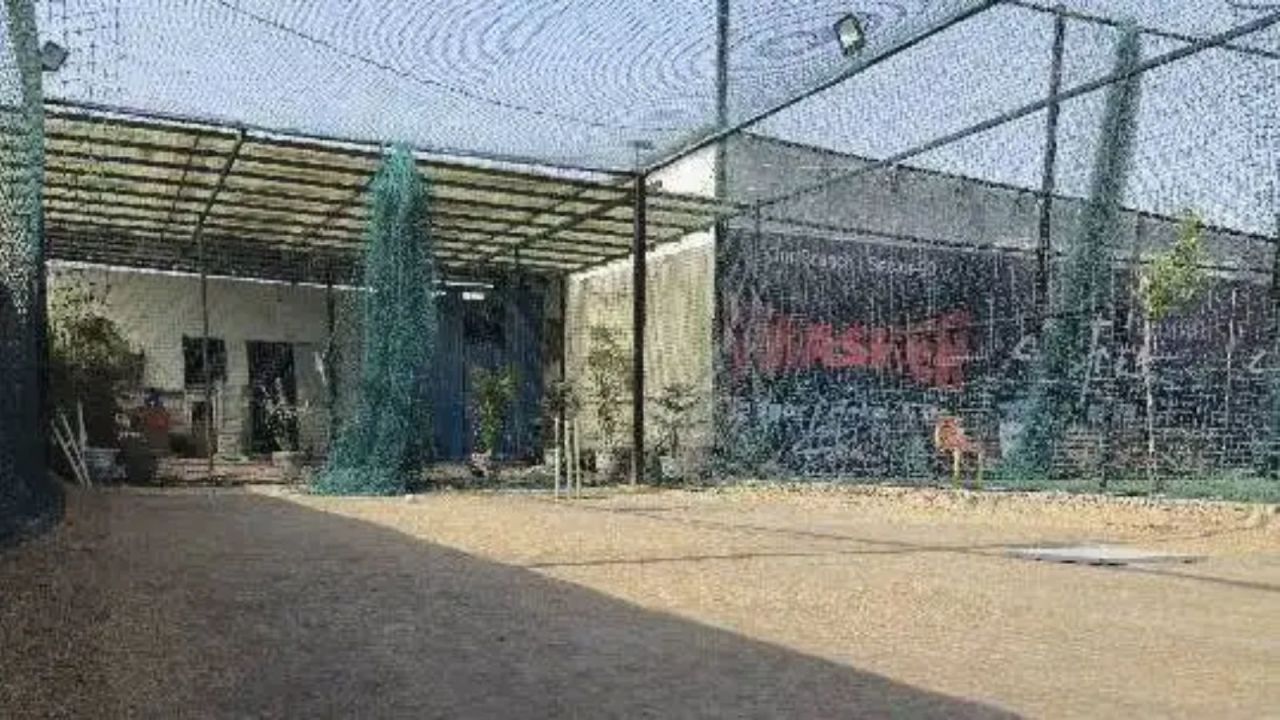 Strike The Ball | Sector 107