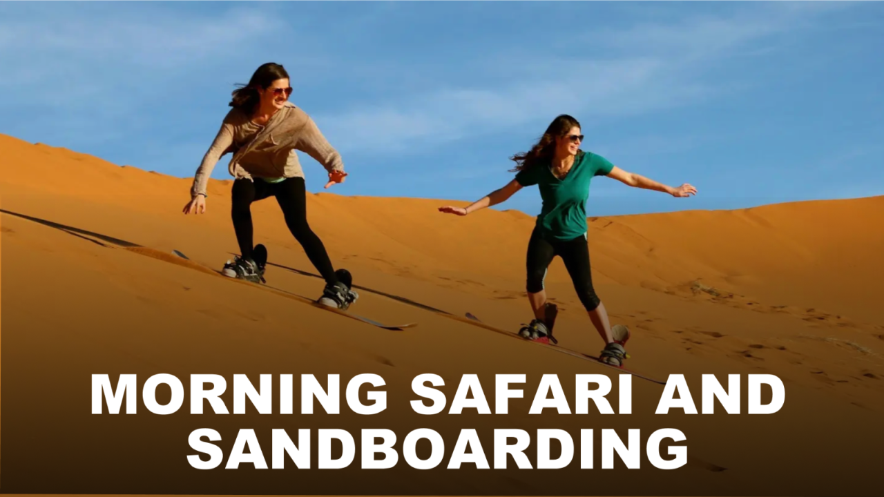 Morning Safari and Sandboarding