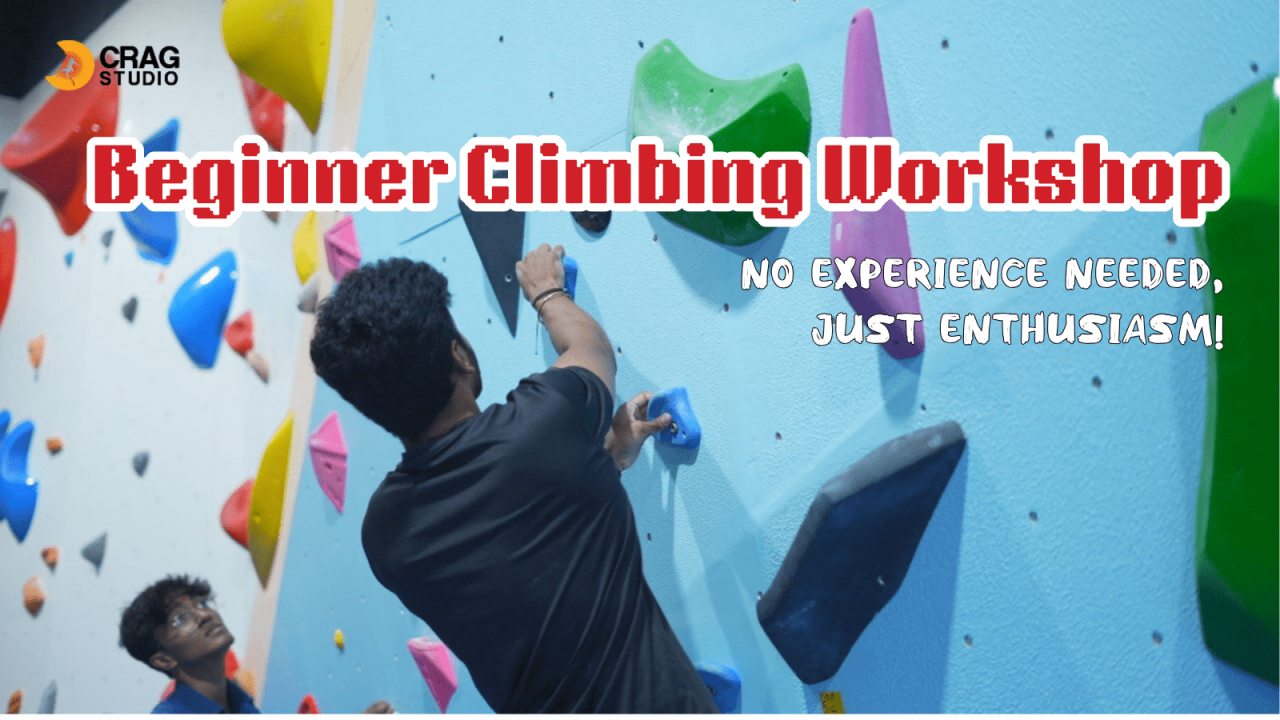 Beginner Climbing Workshop