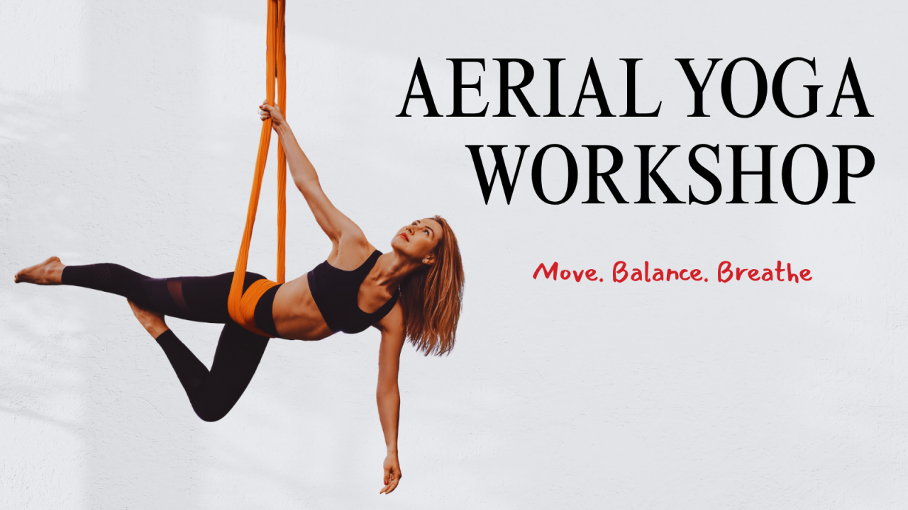 Aerial Yoga Workshop