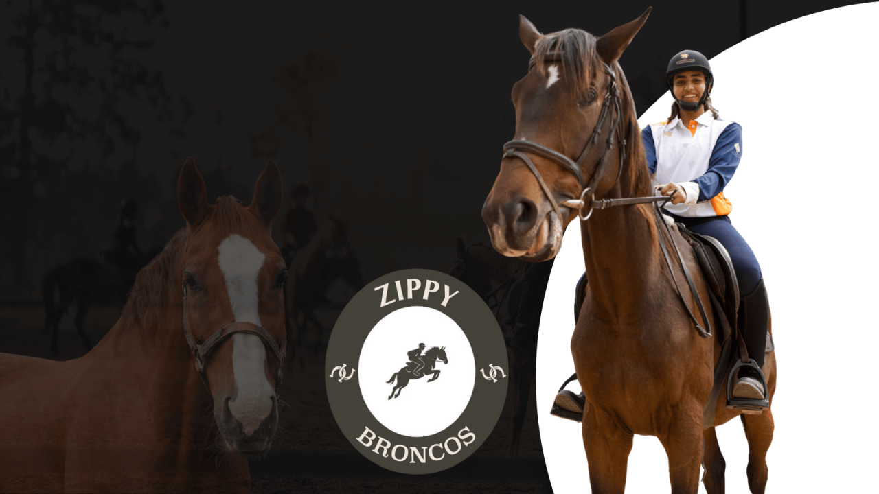 Zippy Broncos Horse Riding Experience