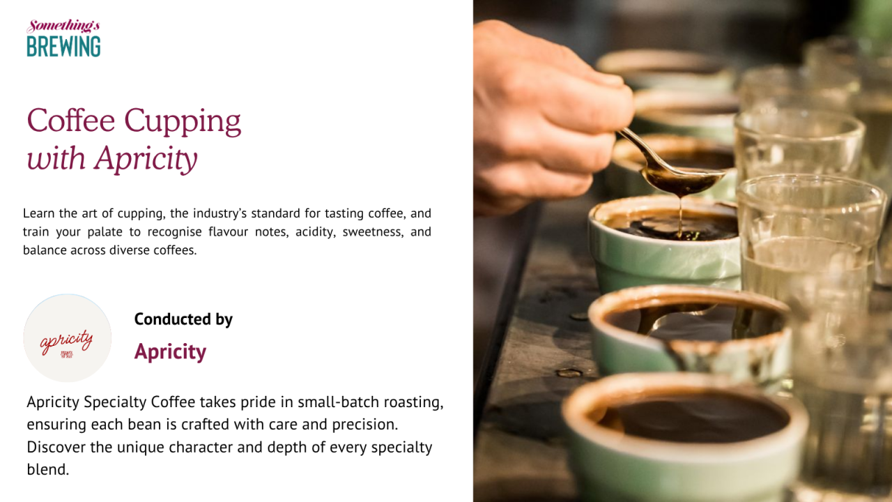Coffee Cupping with Apricity