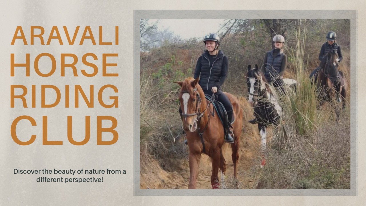 Aravali Horse Riding Club
