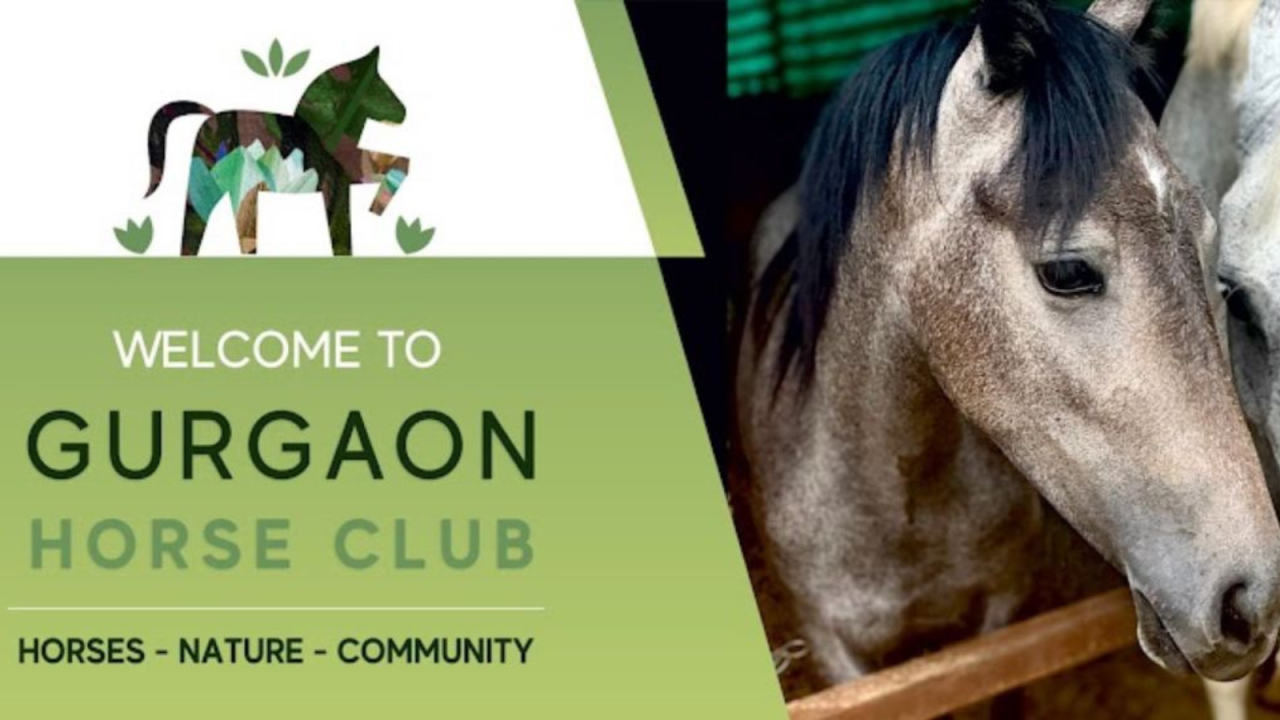 Gurgaon Horse Club 