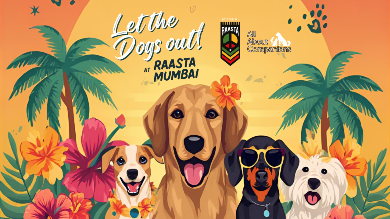 Let the Dogs Out at Raasta Mumbai