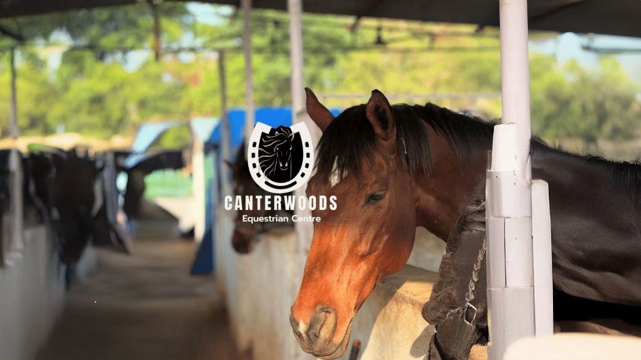 CanterWoods Equestrian Centre 