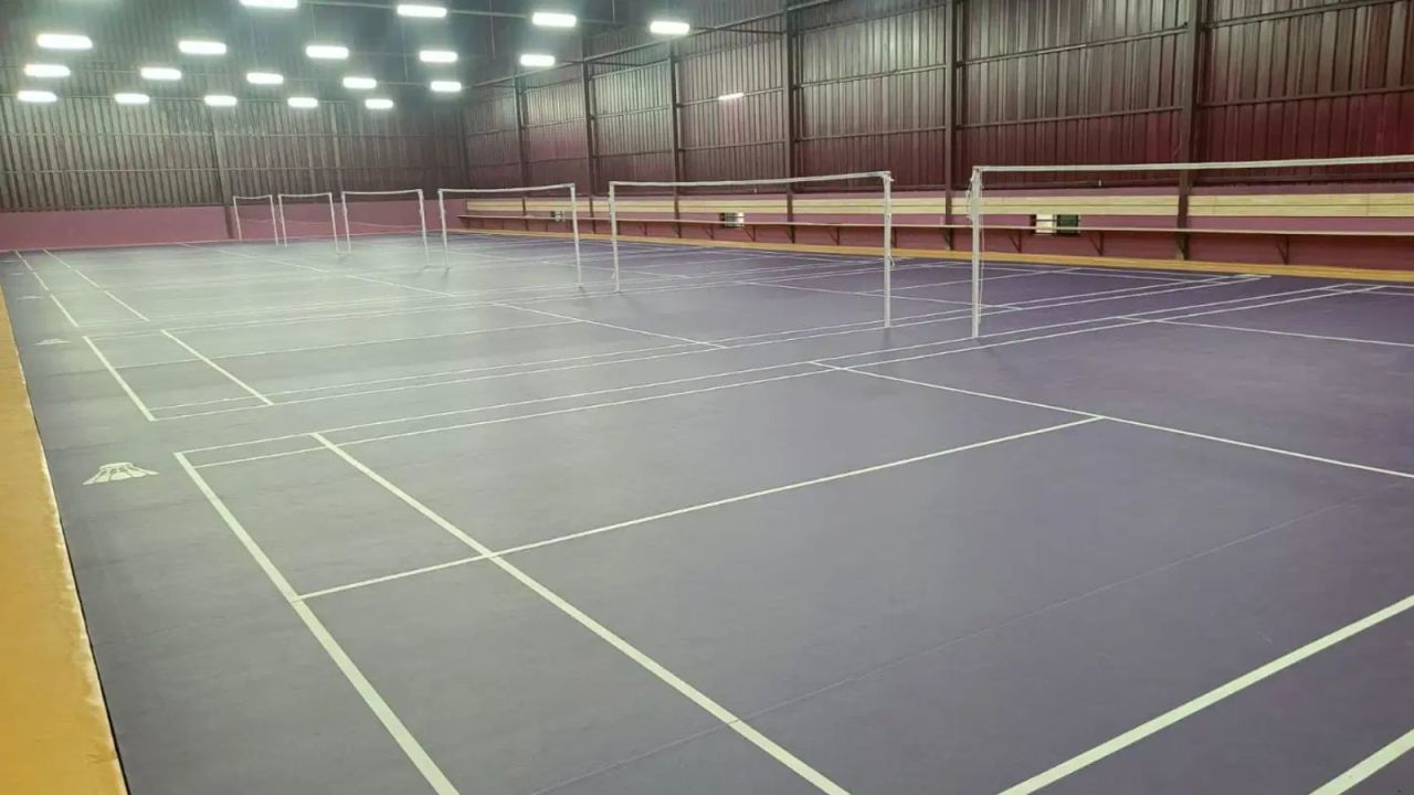 Happiness & Wellness