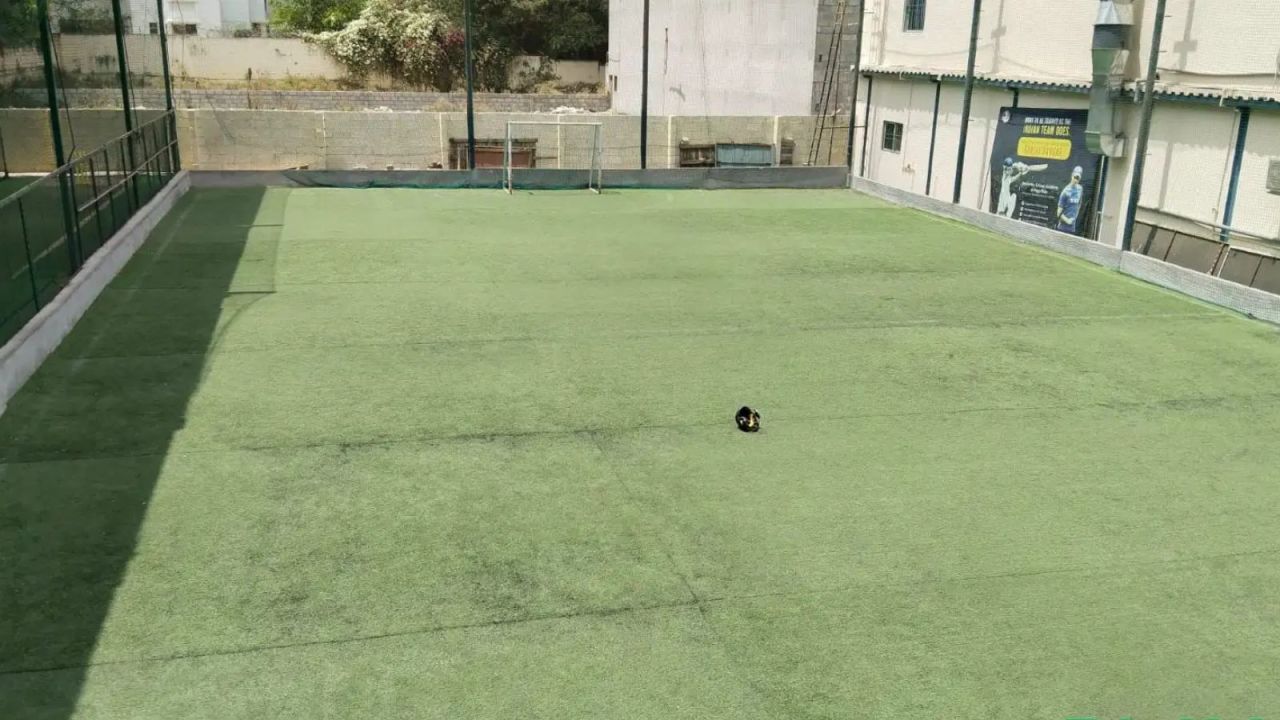 Boundless Sports Arena