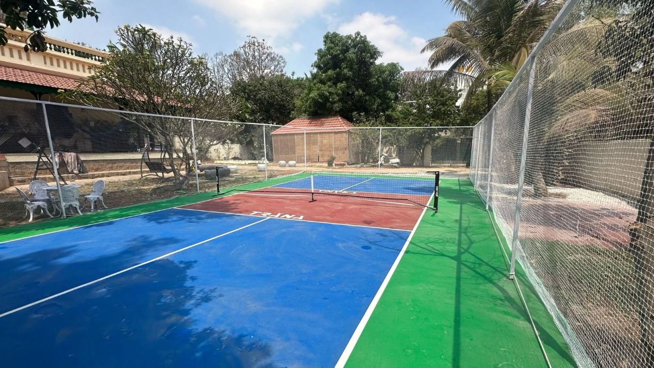 Backyard Pickleball