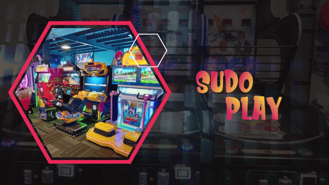 Sudo Play Game Zone