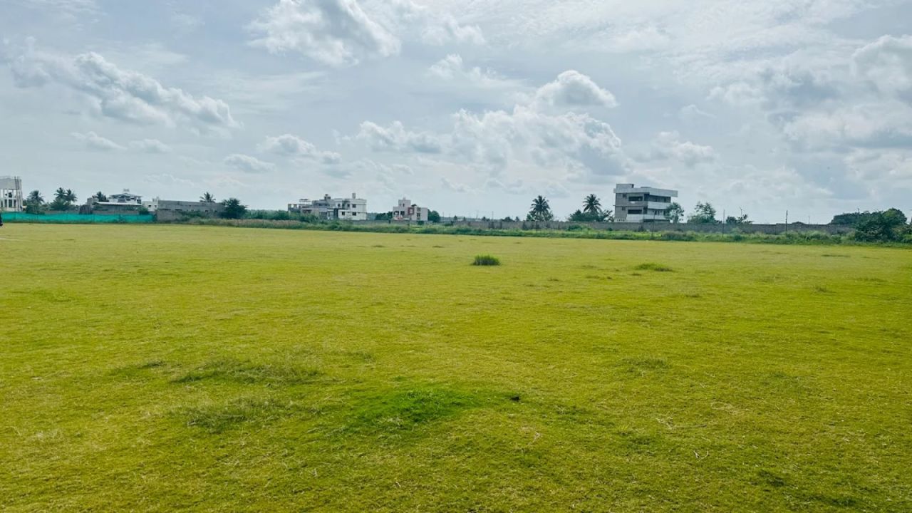 Rose petals cricket ground