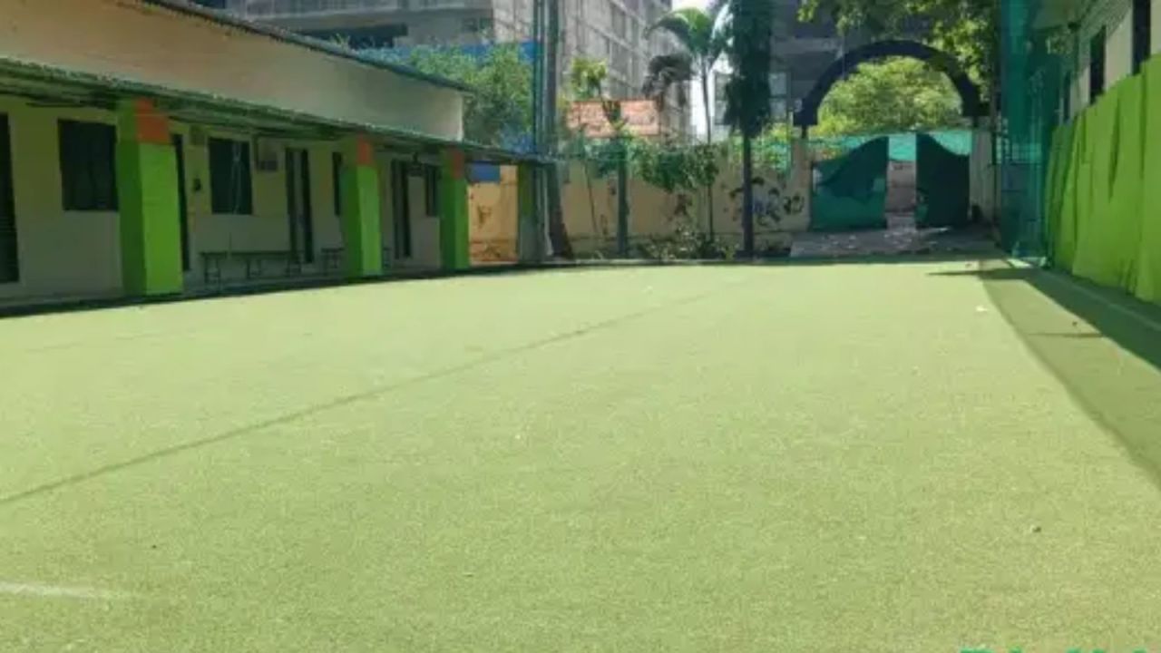 Volta Sports Turf