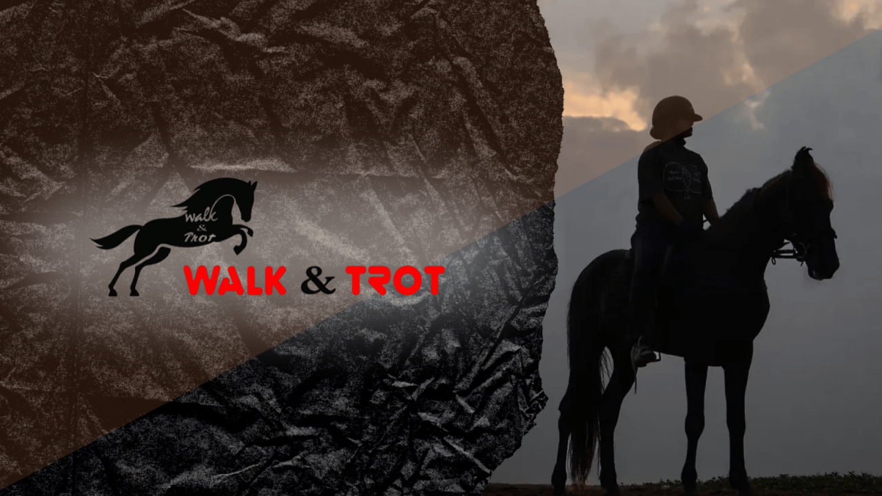 Saddle Up with Walk & Trot 