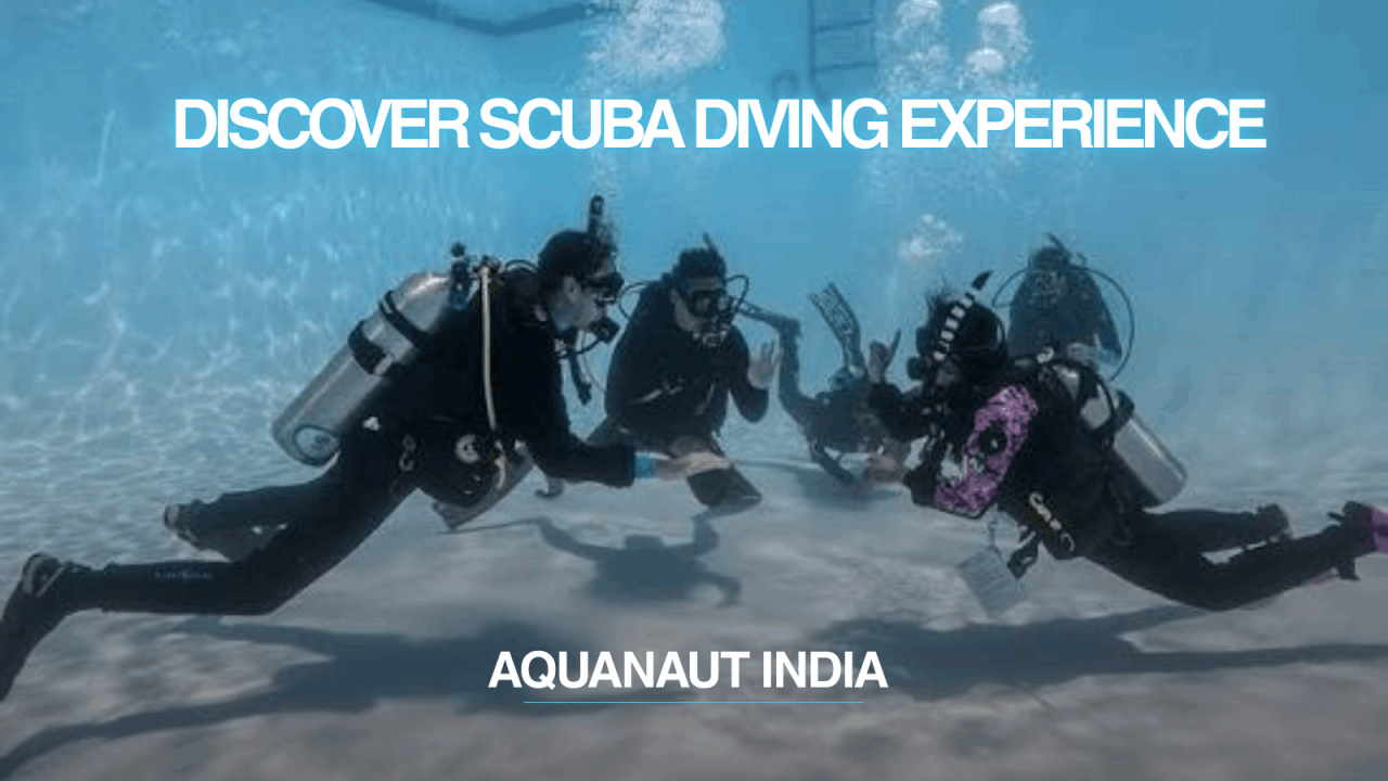 Discover Scuba Diving Experience