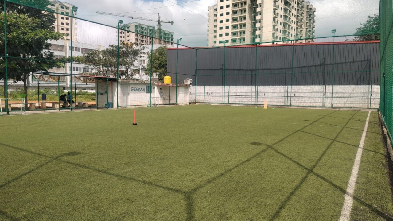 GameOn Pro Sports Turf