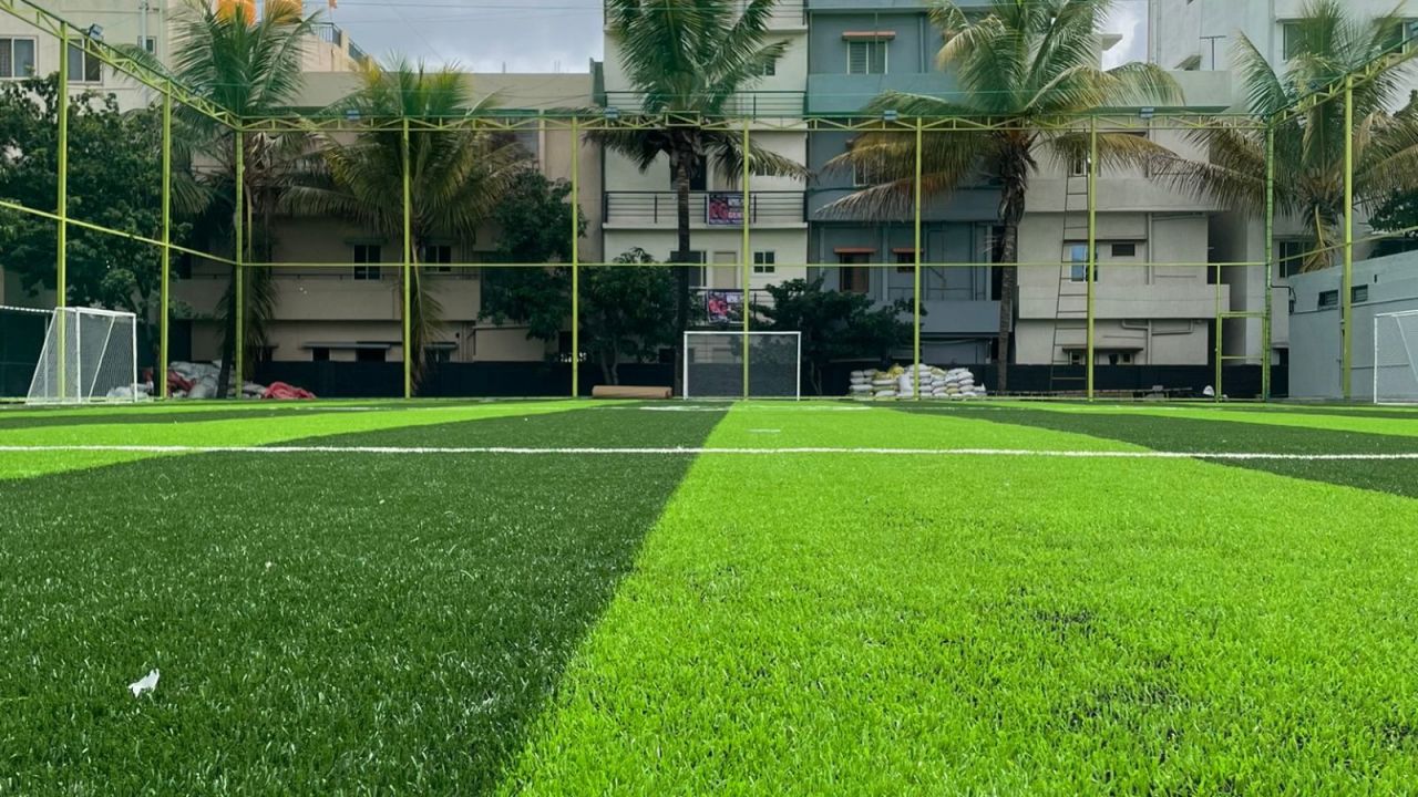 Game Theory Whitefield