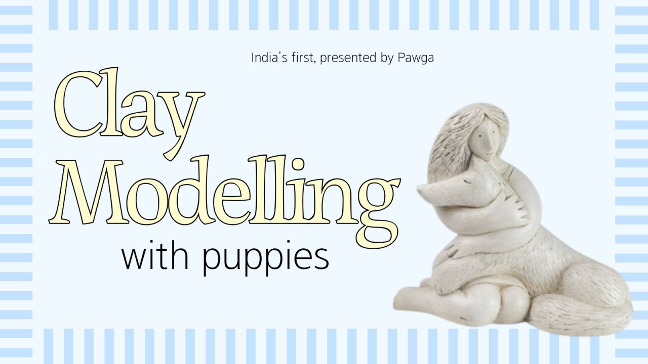 Clay Modelling with Puppies