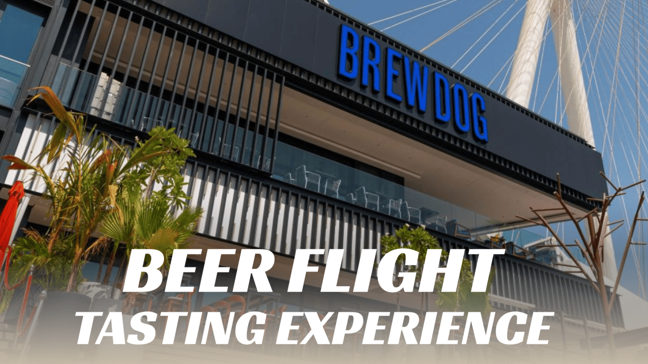 Beer Flight Tasting Experience at BrewDog