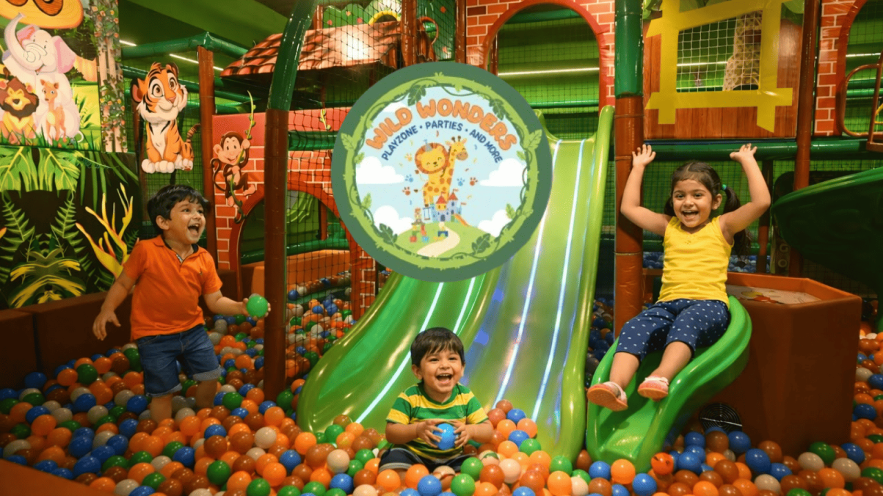 Wild Wonders Kids Play Area