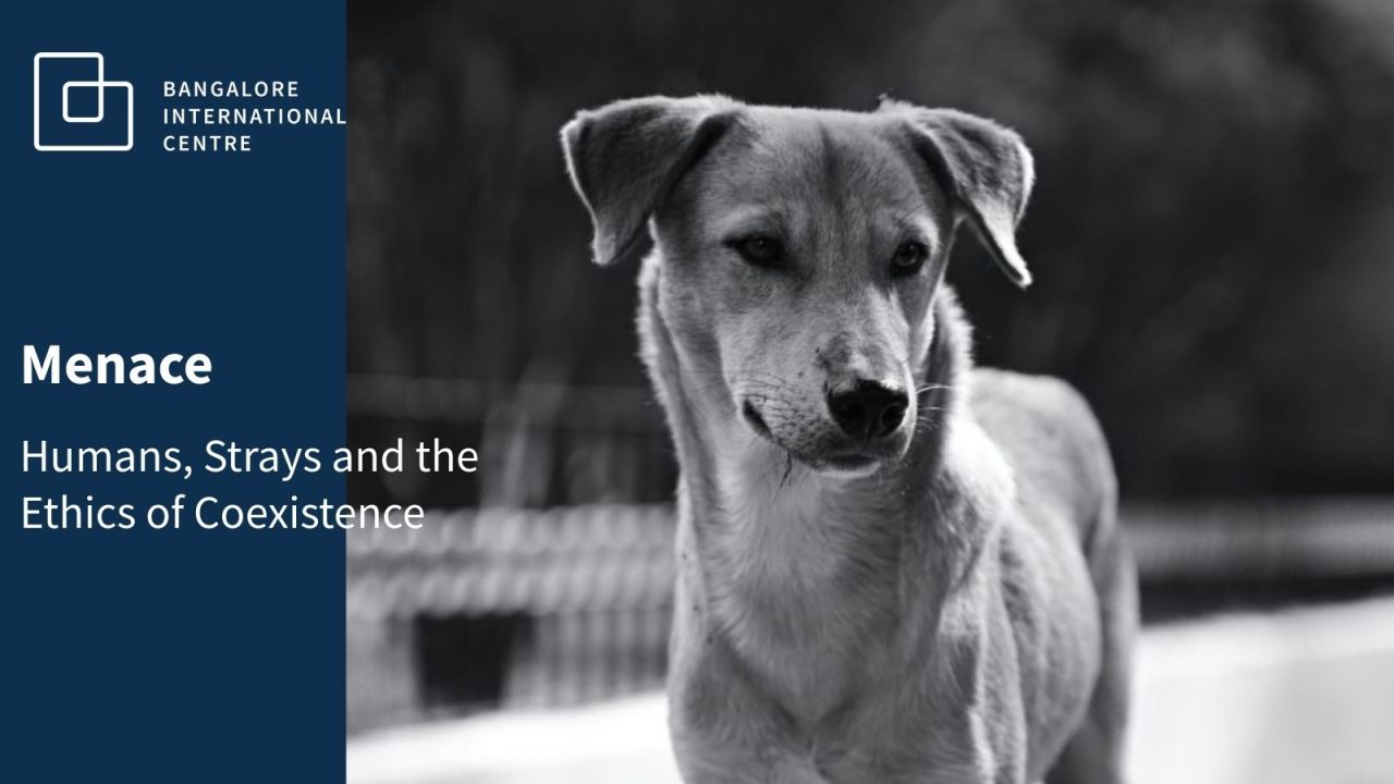 Menace: Humans, Strays and the Ethics of Coexistence