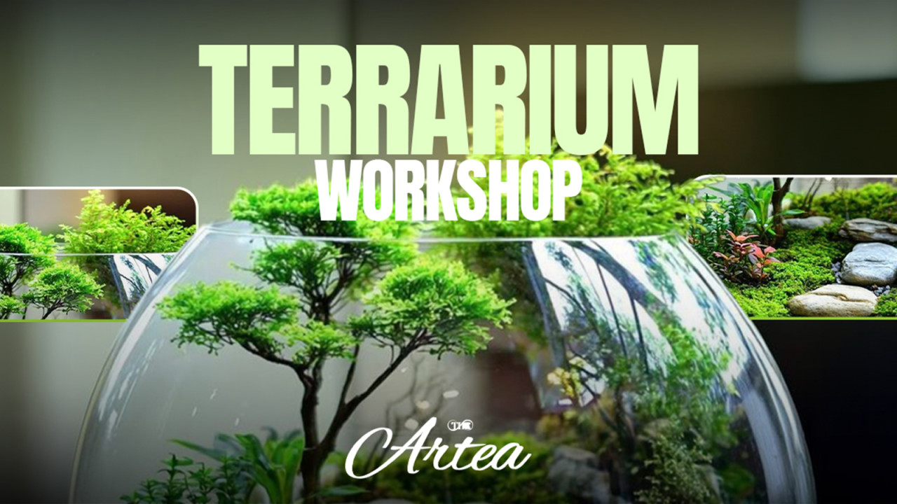 Terrarium Workshop | Underdoggs 