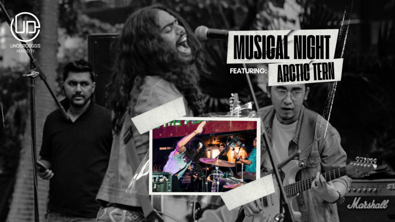 Live Musical Night Featuring Arctic Tern