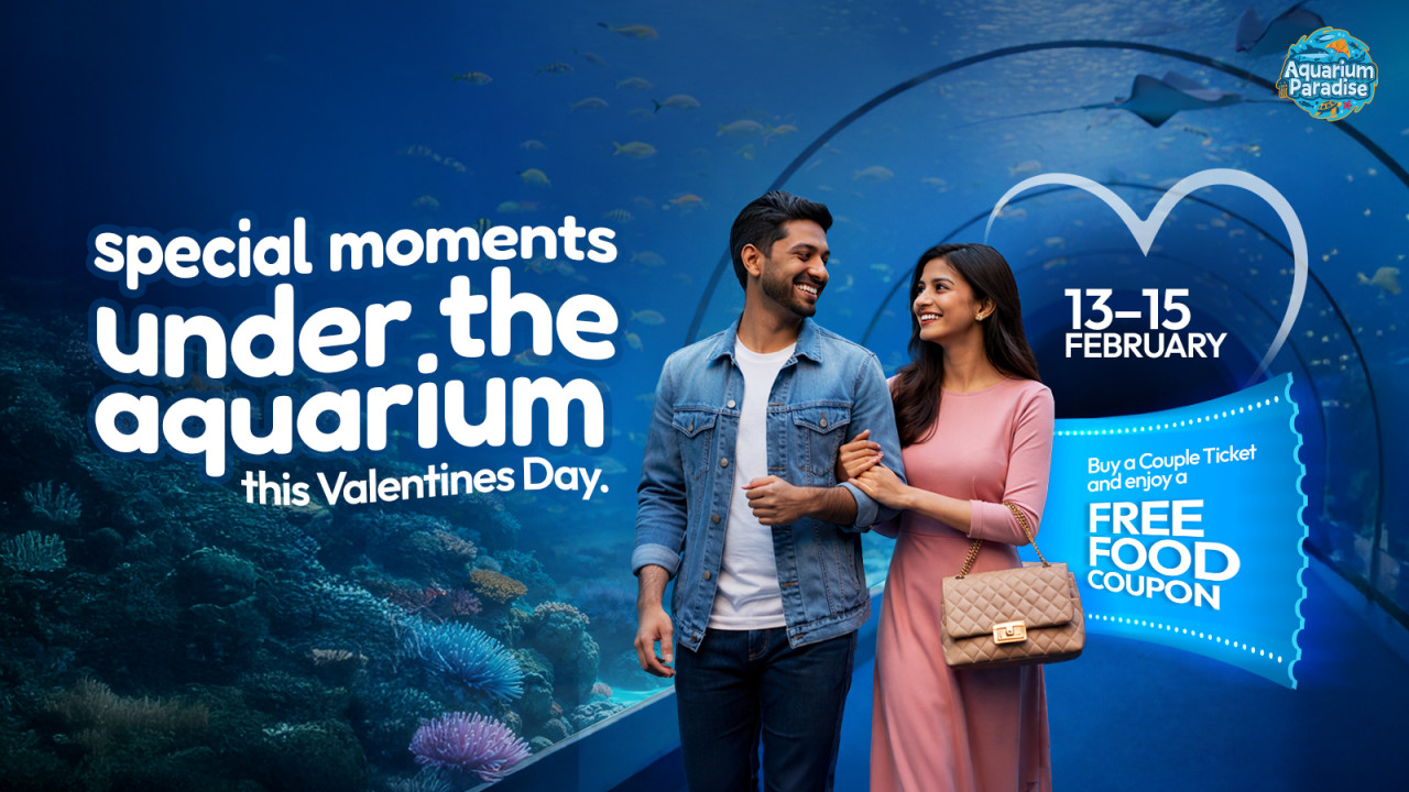 Aquarium Paradise | Bengaluru