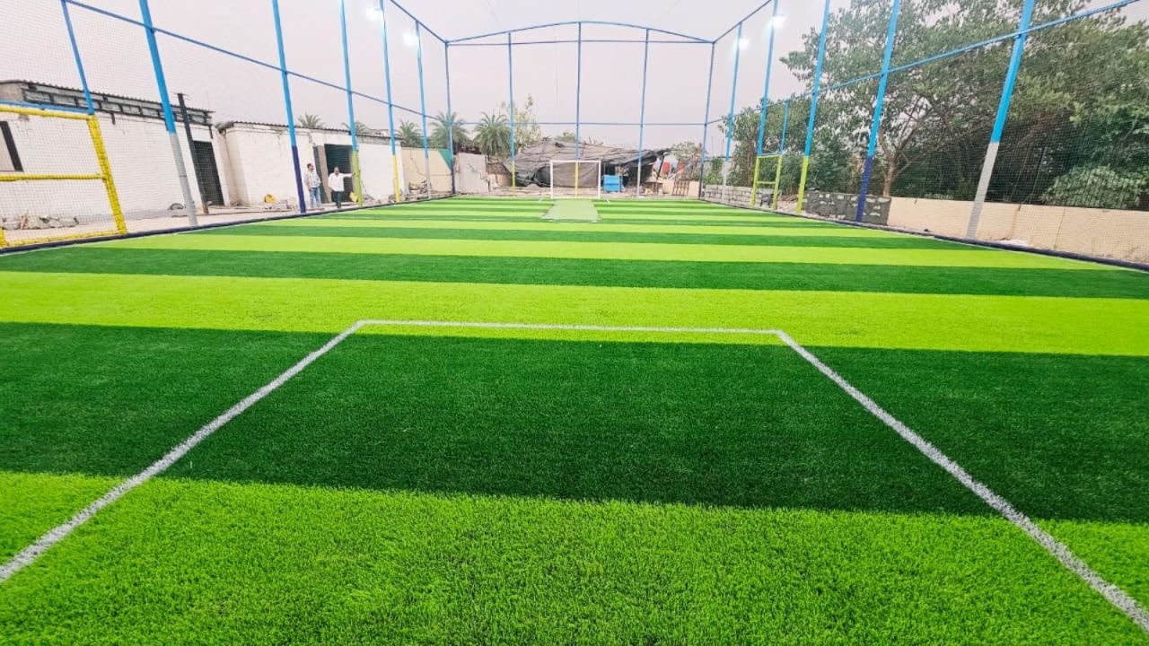 Lion Cage Turf